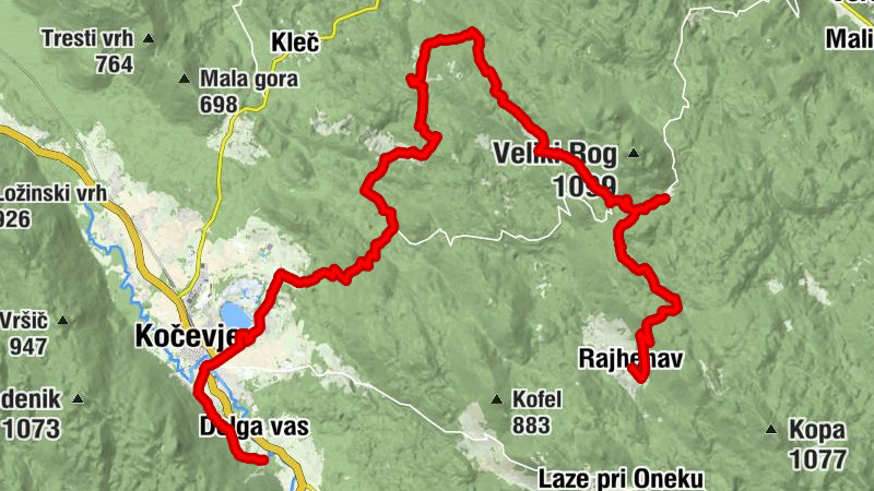 Carte