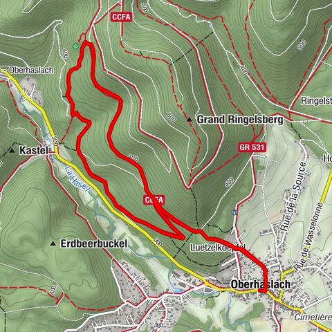 Randonnée Vers les géants du Nideck - Symposium