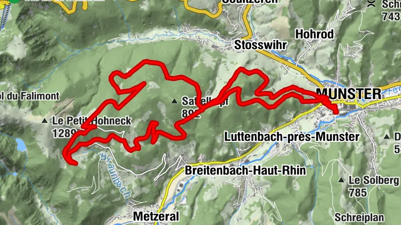 Carte