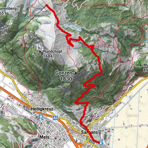 Carte