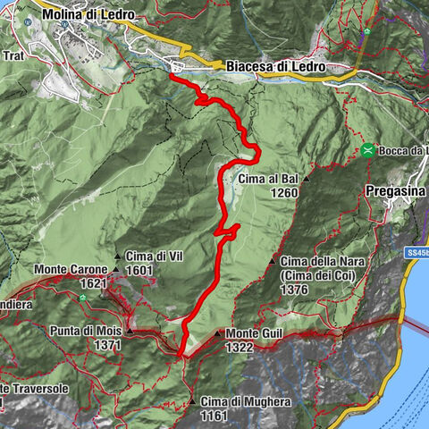 Carte
