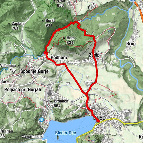 Carte
