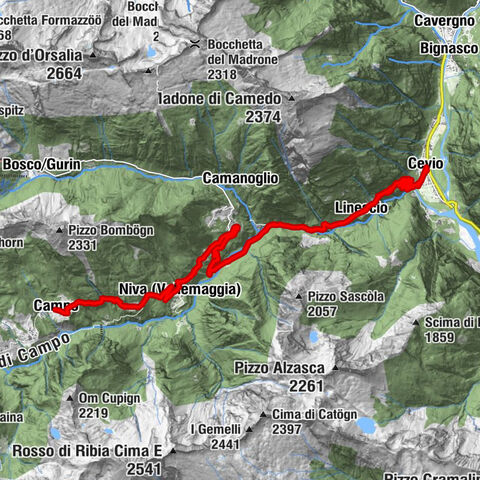 Carte