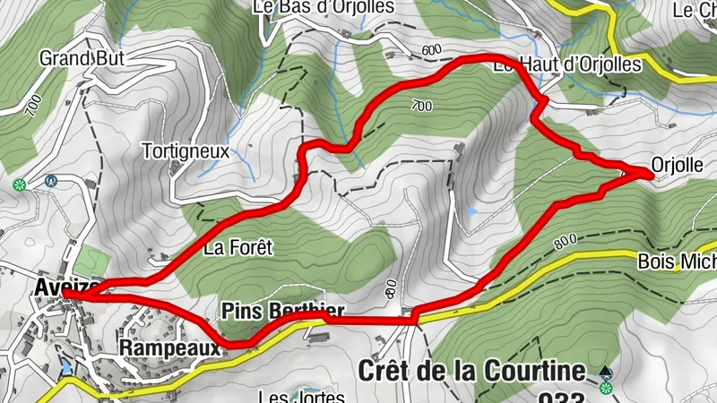 Carte