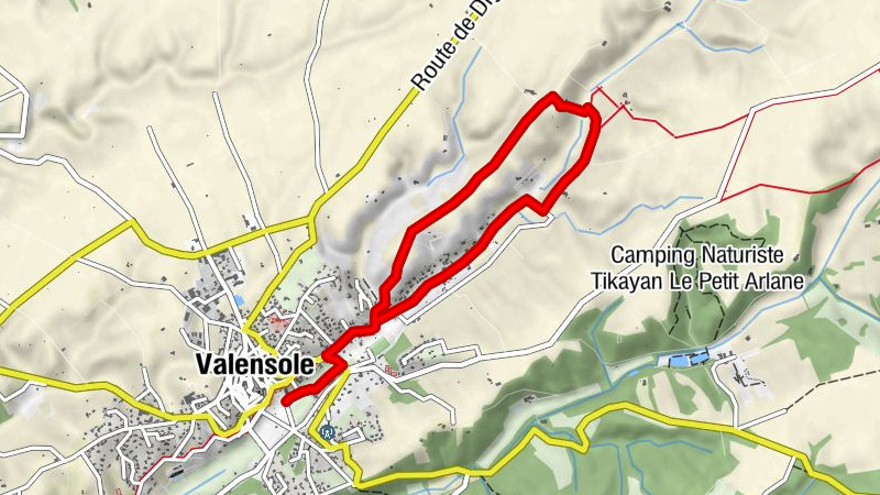 Carte