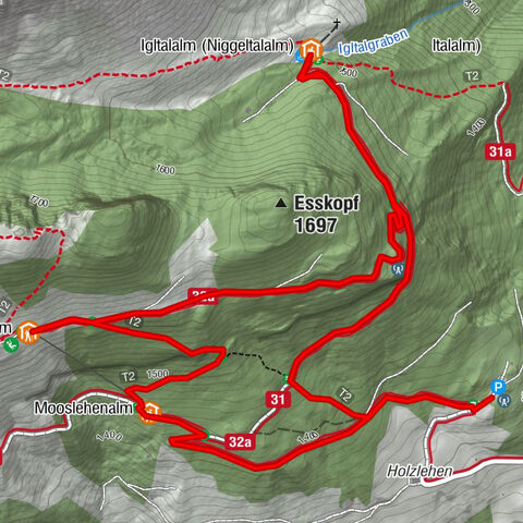 Großarl : Mooslehenalm – Niggeltalalm – Viehhausalm
