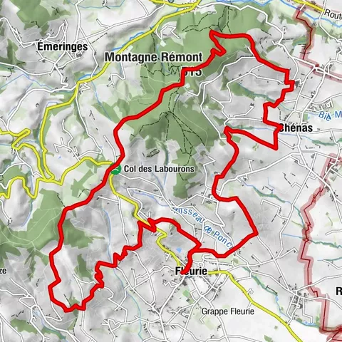 Circuit VTT B5 de Fleurie à Chénas