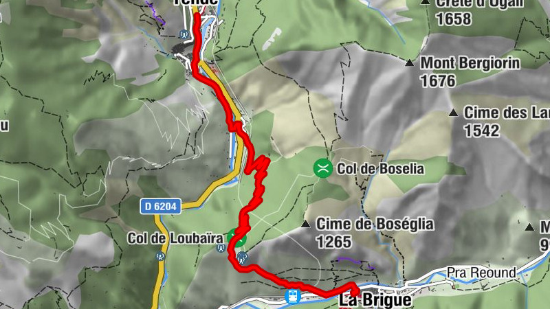 Carte