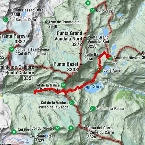 Carte