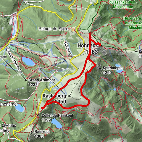 Carte