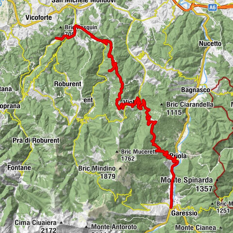 Carte