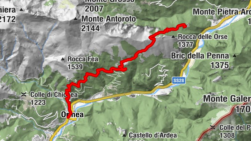Carte