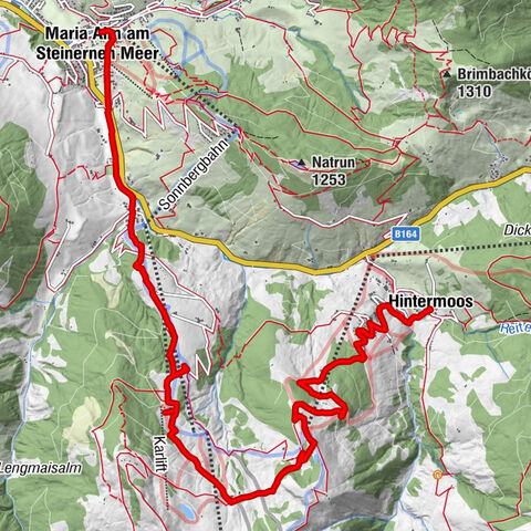 Carte