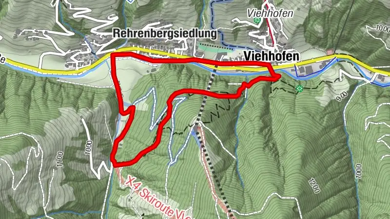 Expérience forêt & nature