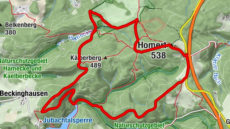 Carte
