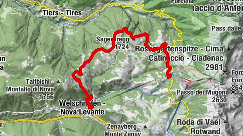Carte