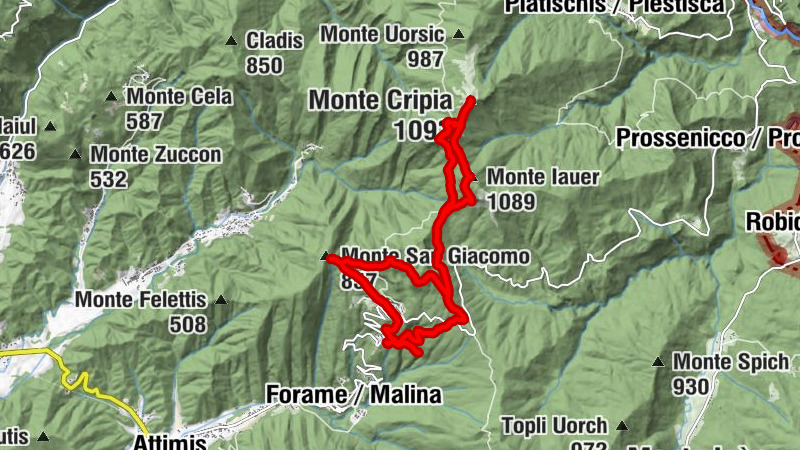 Carte