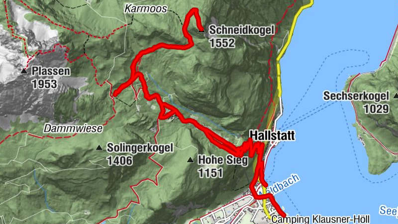 Carte
