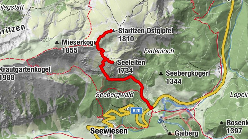 Carte