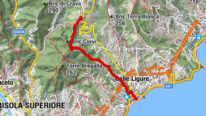 Carte