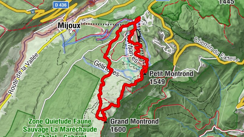Carte