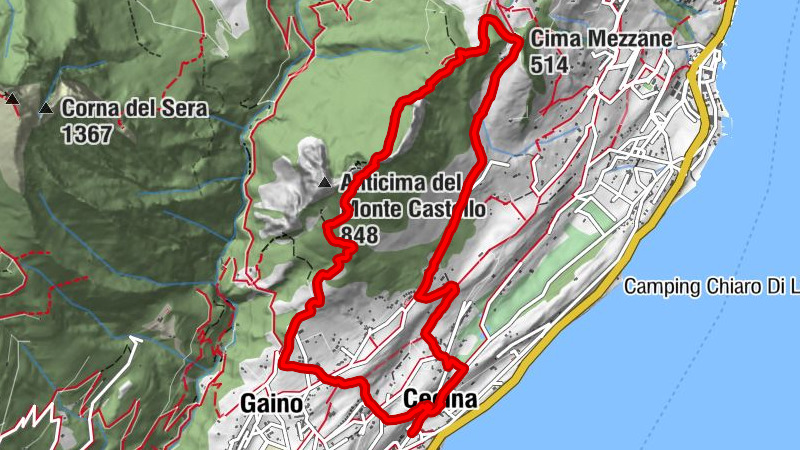 Carte