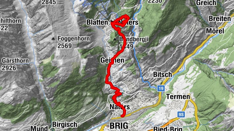 Carte