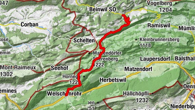 Carte