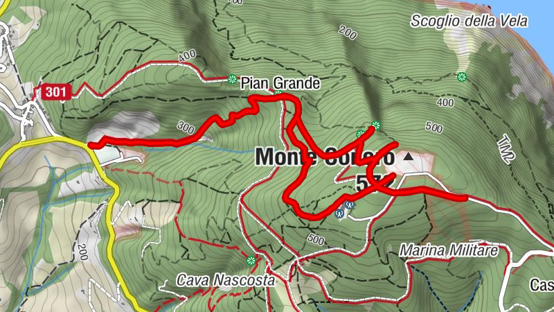 Carte