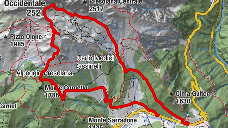 Carte