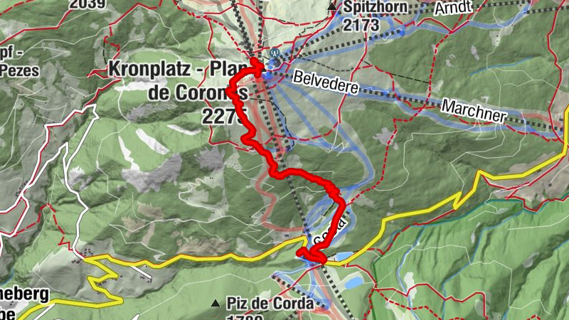 Carte