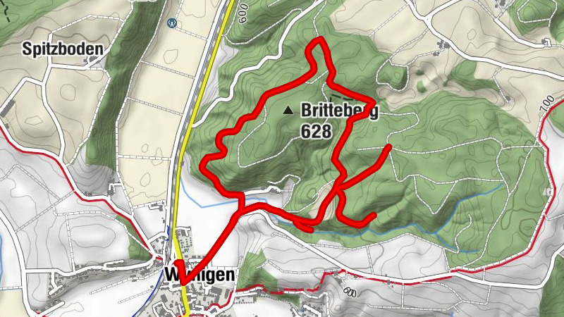 Carte