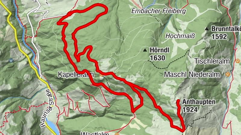Carte