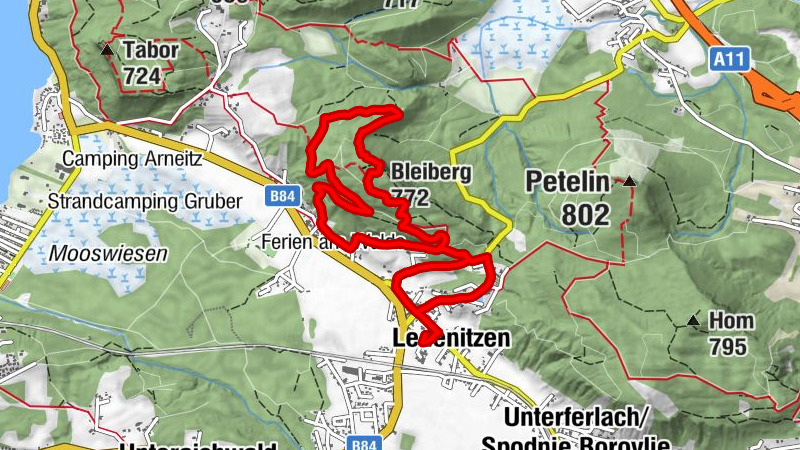 Carte