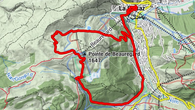 Carte