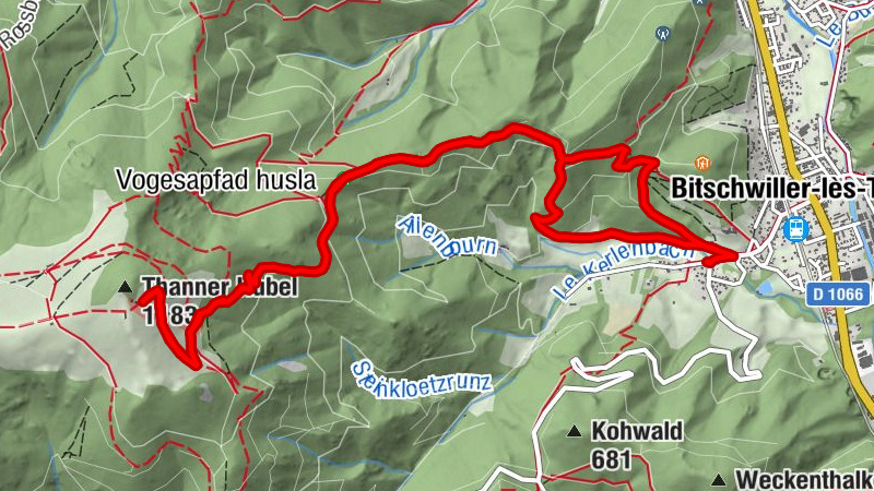 Carte