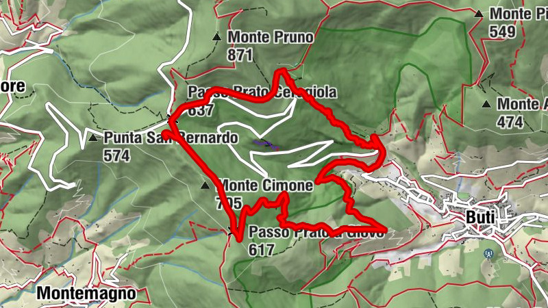 Carte