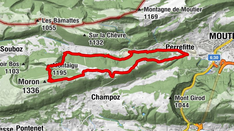 Carte