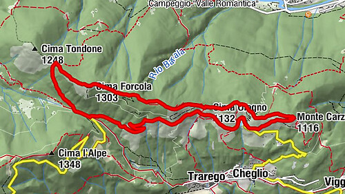 Carte
