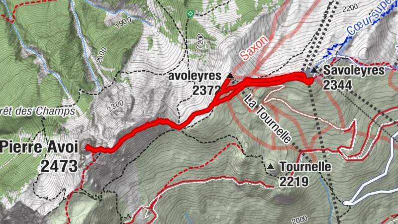 Carte