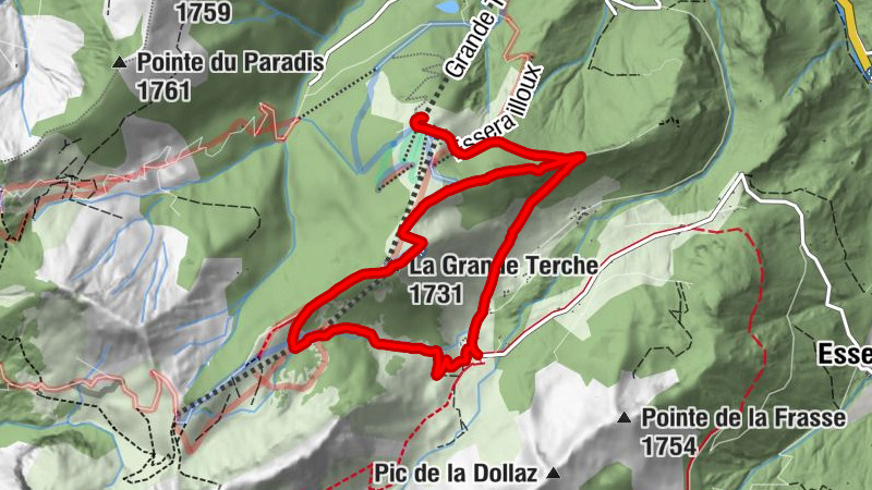 Carte