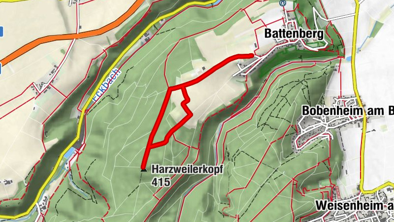 Carte
