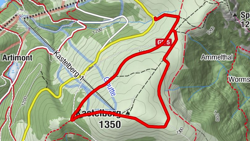 Carte