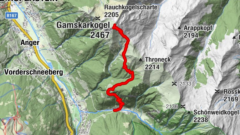 Carte