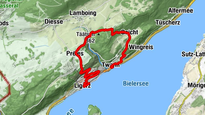 Carte