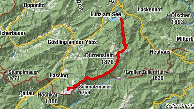 Carte