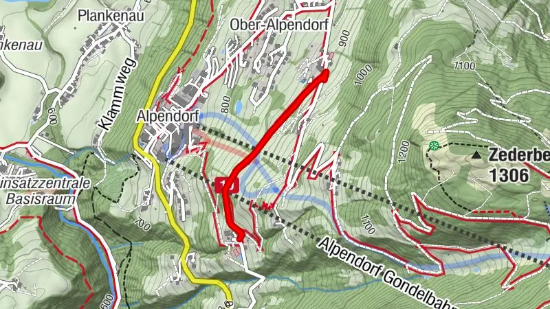 Sentier d'interprétation des arbres à Alpendorf