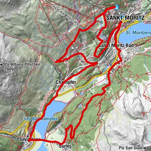 Carte