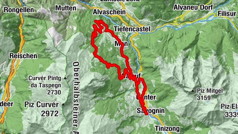 Carte