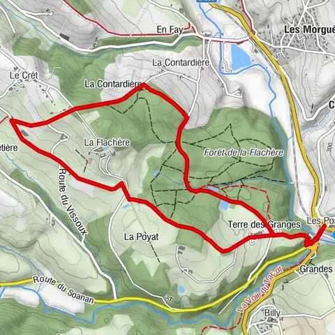 La forêt de la Flachère - Beaujolais - Légny